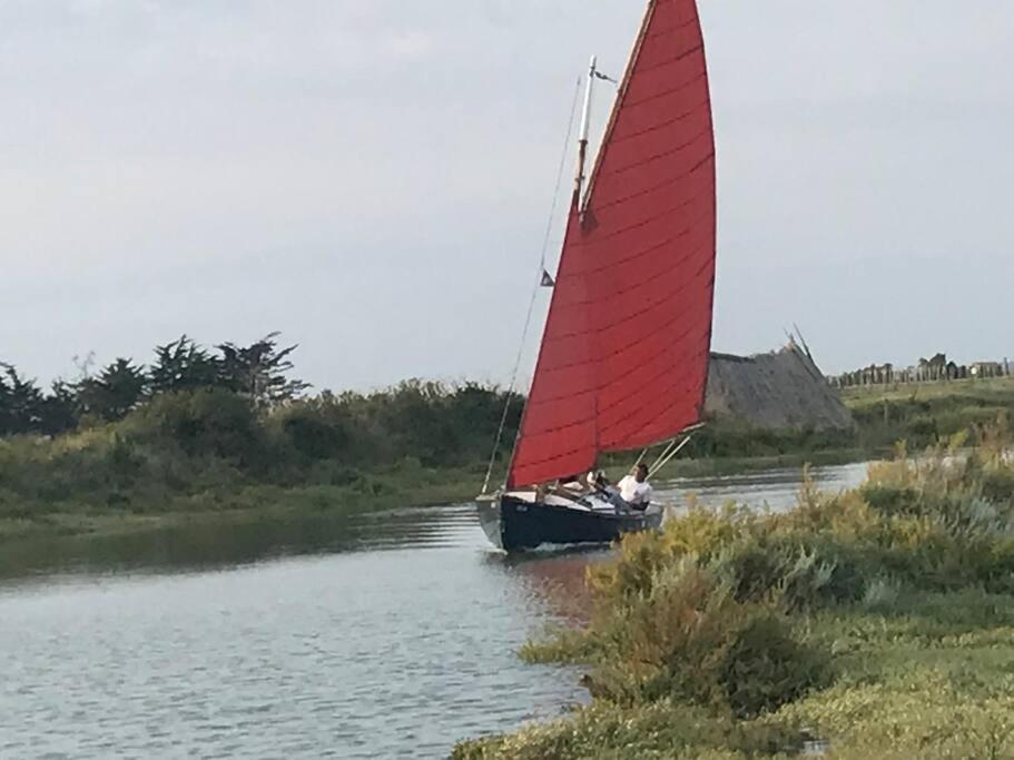 Maison De Village Et Jardin , A Mornac Sur Seudre Esterno foto